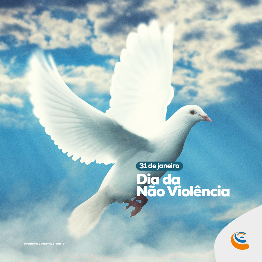 29-01 dia nao violencia